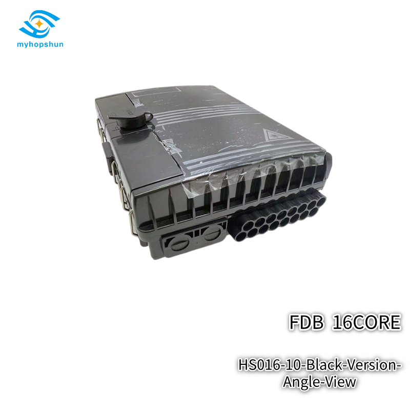HS016-10-Black-Version-Angle-View